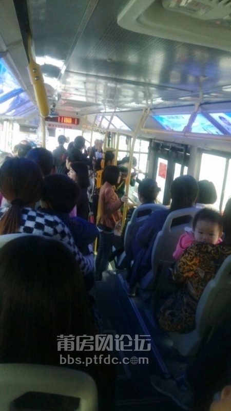 QQ图片20141118082852.jpg