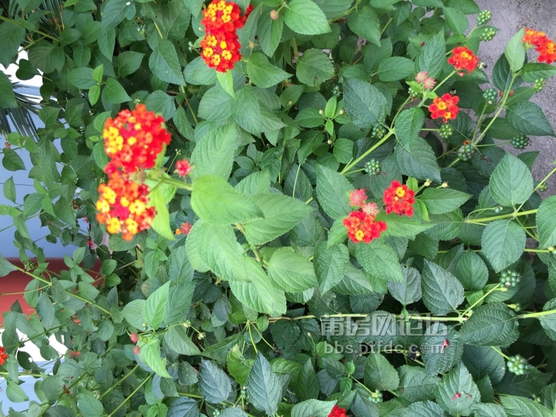 照片 896.jpg