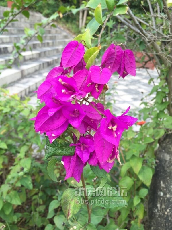 照片 917.jpg