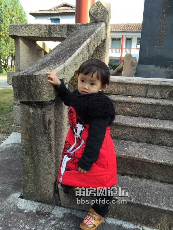 093102yvce7eofrse0s0fo.jpg