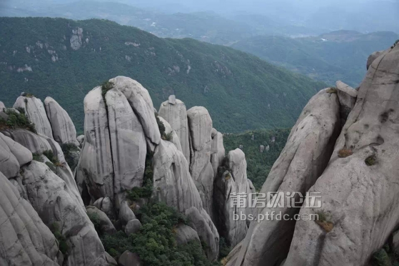 雾中登太姥山7.jpg