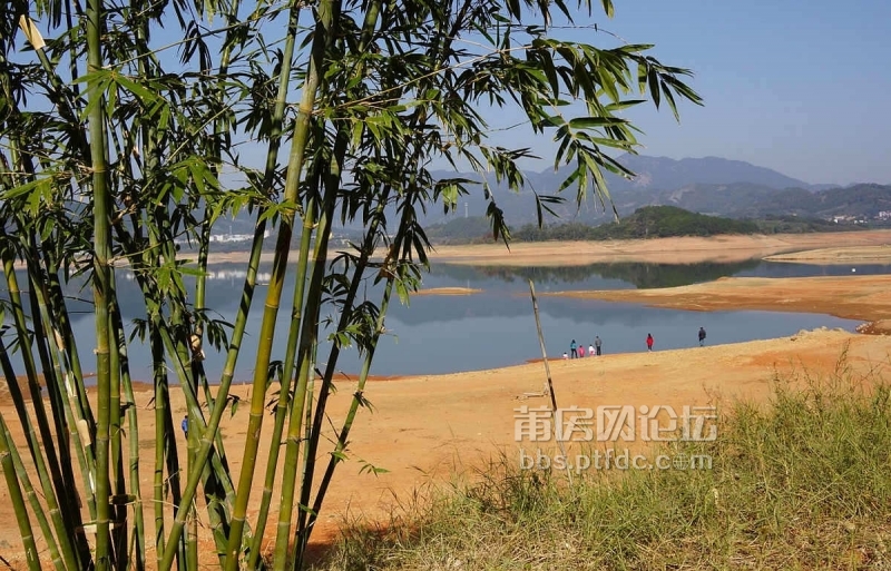 福建莆田枫叶塘图片