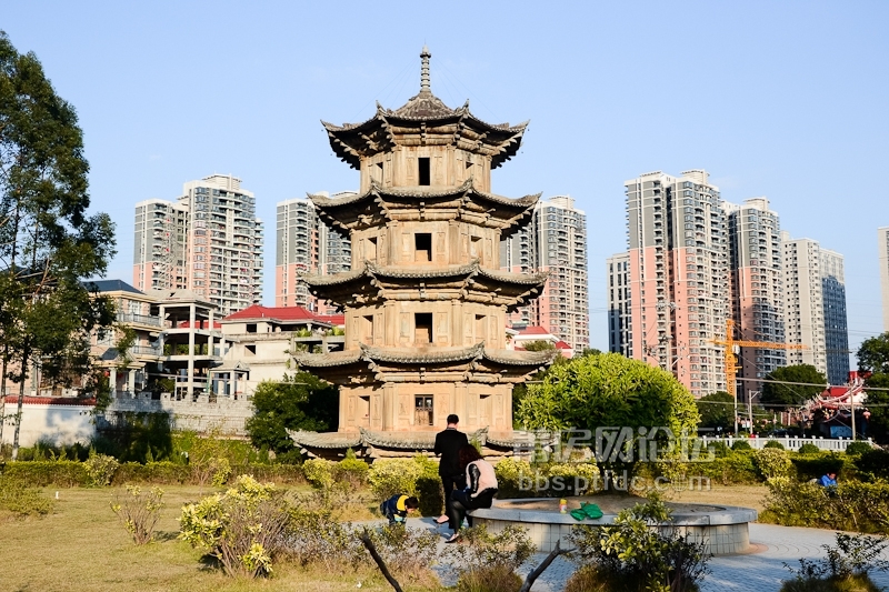 广化寺 (1).JPG