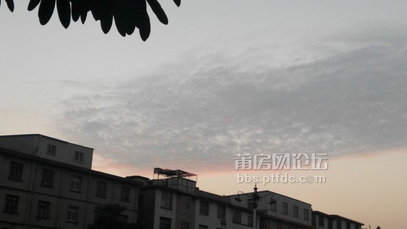 putian_tuxiu_20150103_062131.jpg