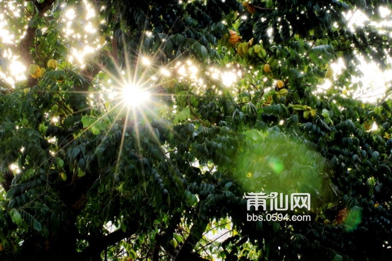 DPP_0044.JPG