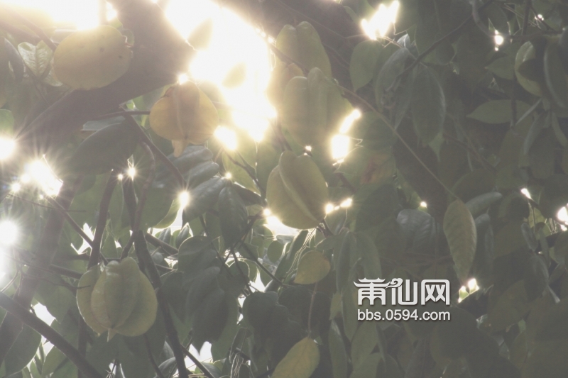 DPP_0045.JPG