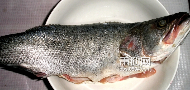 P1010048.JPG