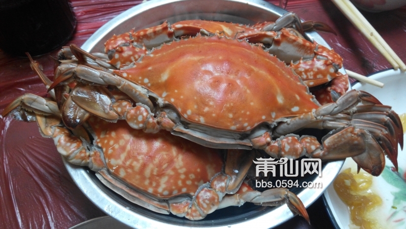 IMG_20150218_180906.jpg