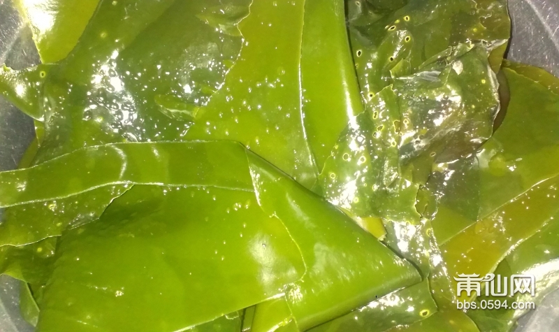 IMAG1254.jpg