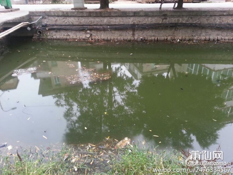 望江河水 (1).jpg