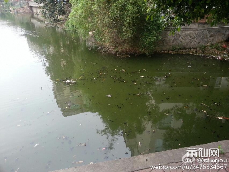 望江河水.jpg