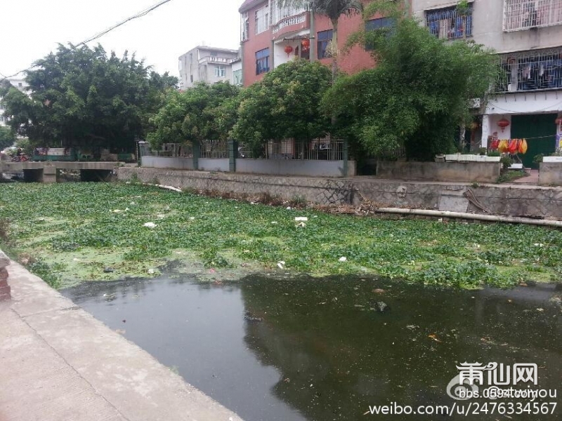 望江河水 (2).jpg