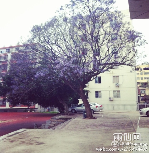 a313a825jw1ertuflufl8j20hb0hszo5.jpg