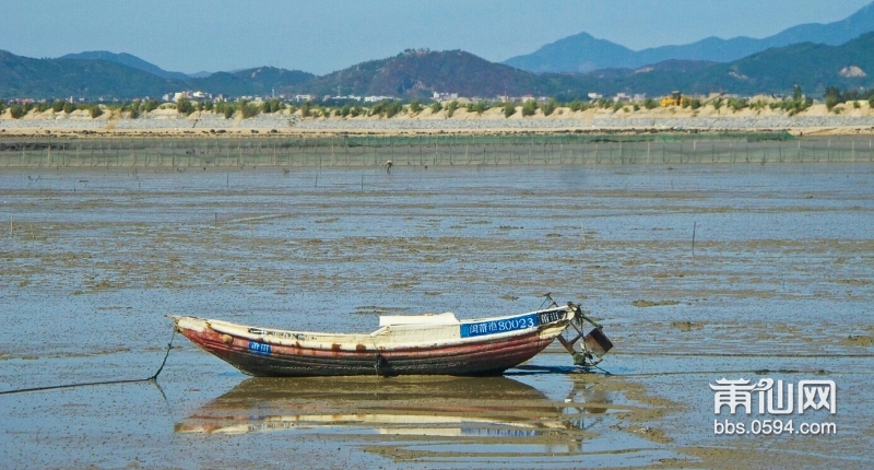 东海滩涂.JPG