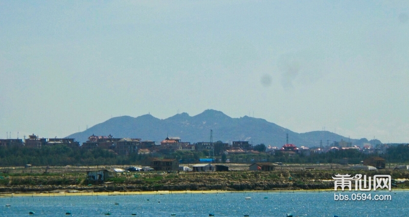 东海滩涂 (10).JPG