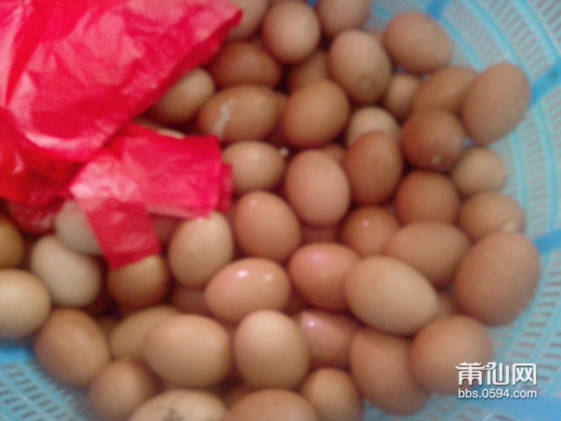 IMG20150619004.jpg
