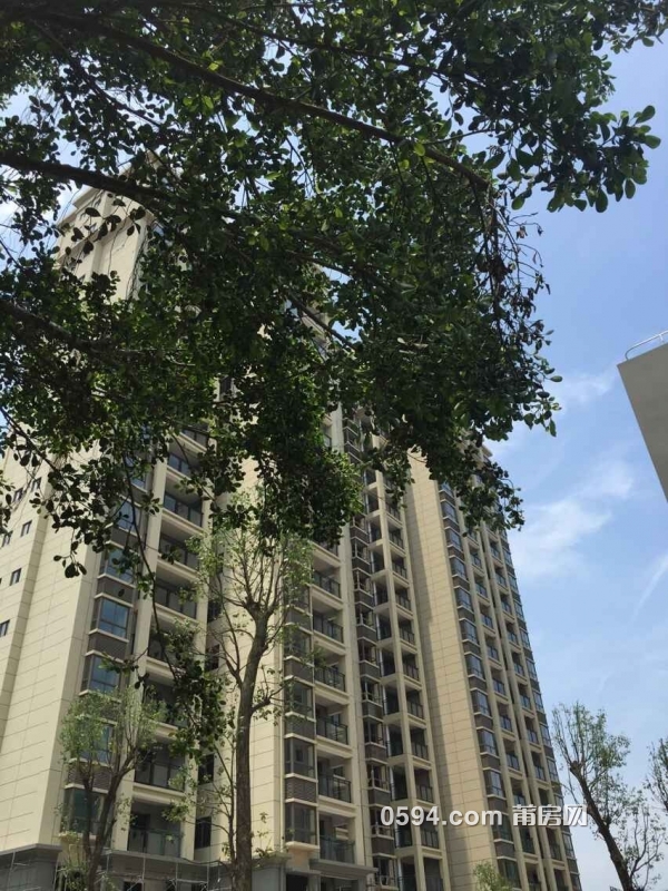 QQ图片20150619163724.jpg