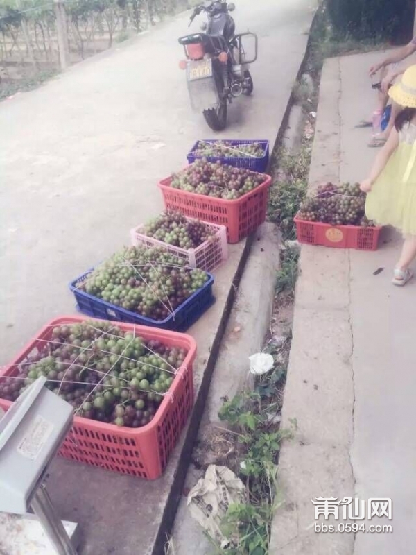 QQ图片20150721155025.jpg