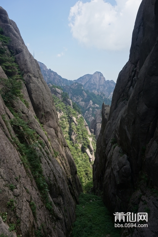 黄山 (67).JPG