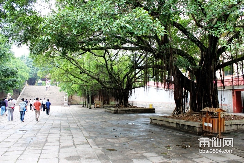 广化寺少林寺 (4).jpg