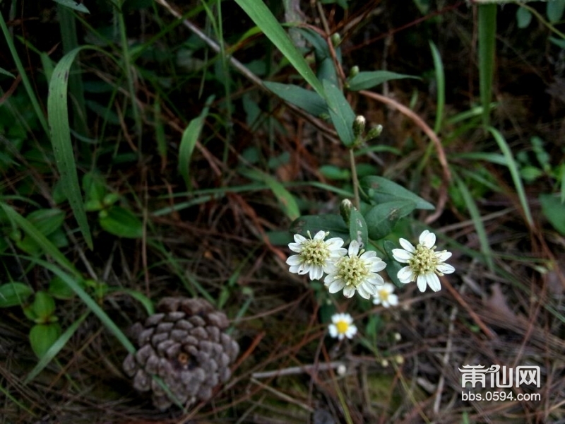 传言说：爬塔山需要坚持 (5).jpg