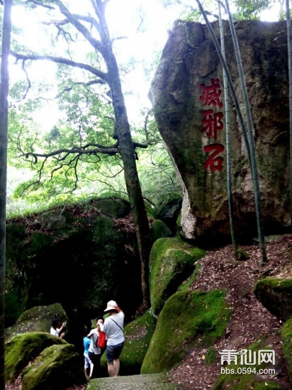 雨润苔藓侵阶绿---麦斜风光 (12).jpg