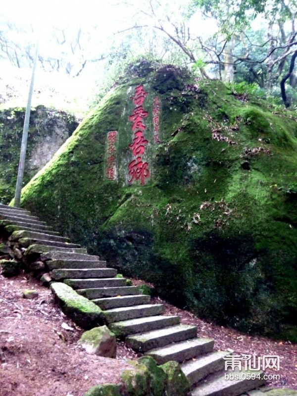 雨润苔藓侵阶绿---麦斜风光 (7).jpg