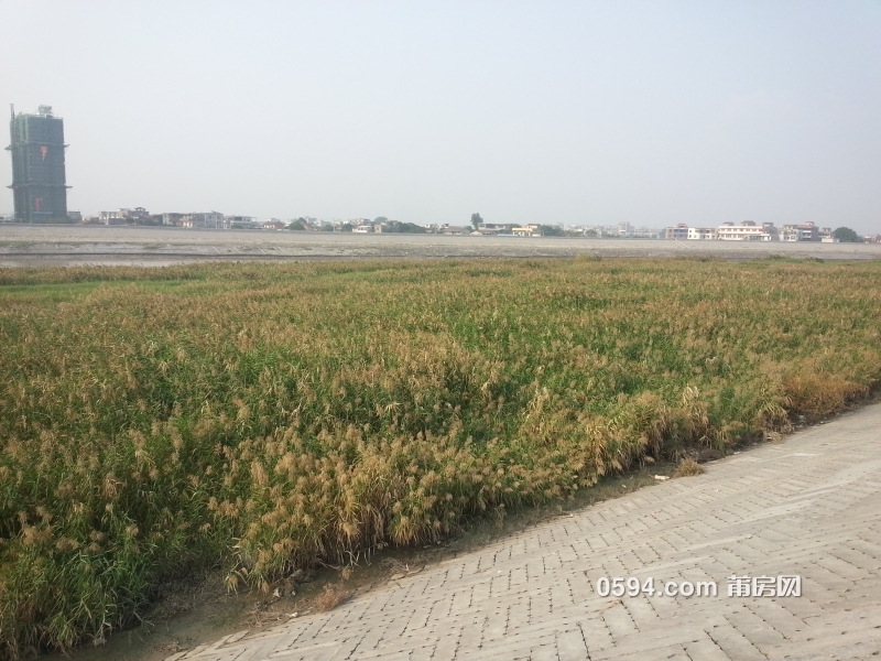 20151027_150537.jpg