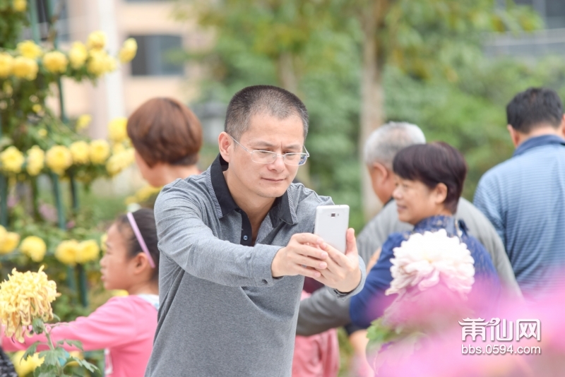 20151115-DSC_0031绶溪菊花展.jpg