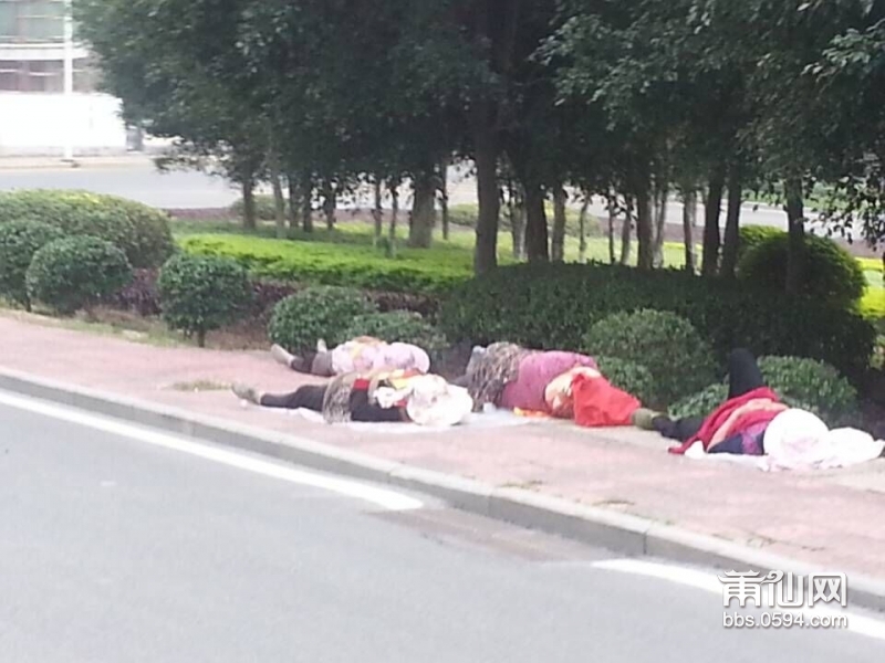 QQ图片20151119084030.jpg