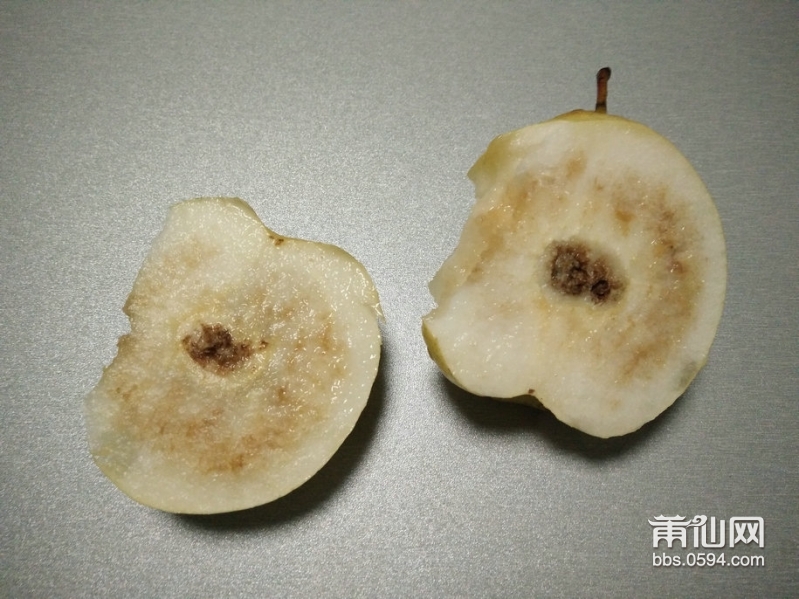 IMG20151204181704.jpg