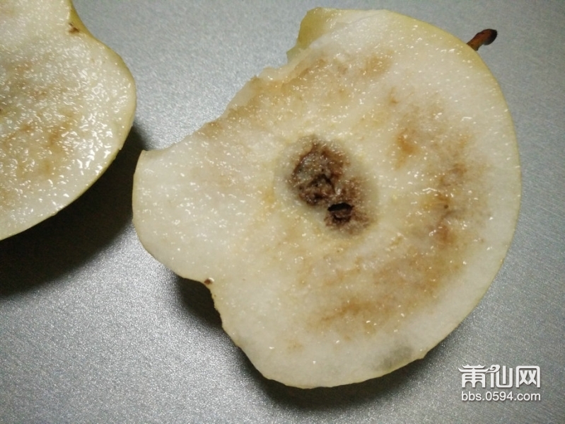 IMG20151204181717.jpg