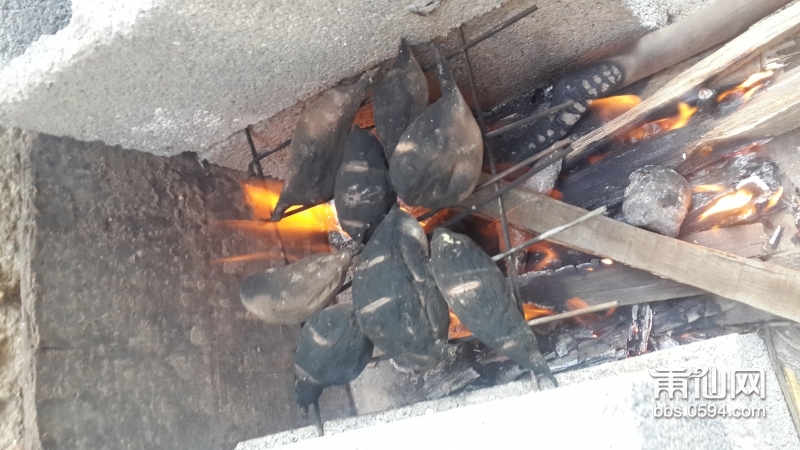 20151128_152659.jpg