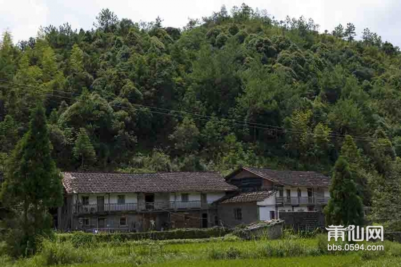 仙游凤山村 (10).jpg