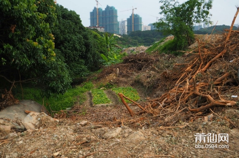 另一条路.jpg