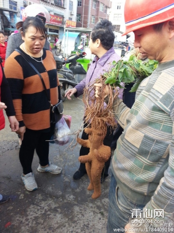 D.jpg