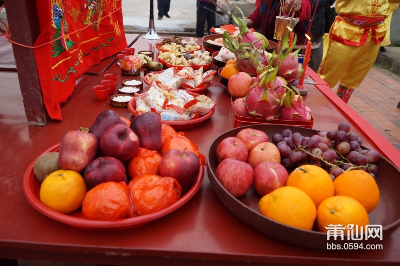 DSC00478.JPG