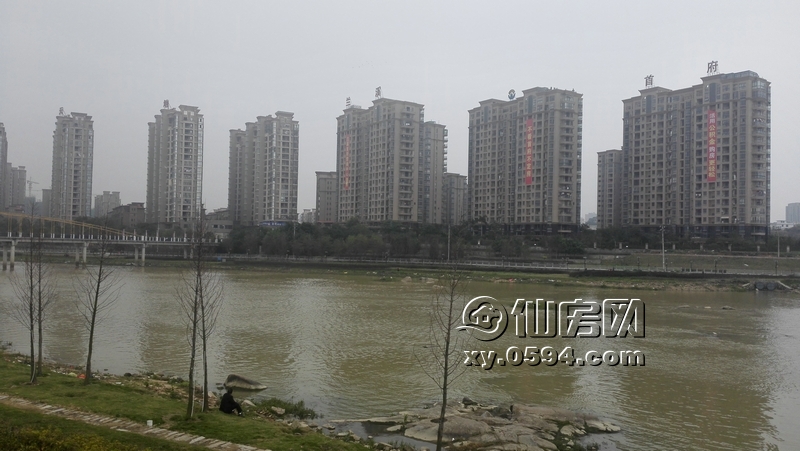 IMG_20160319_160140.jpg
