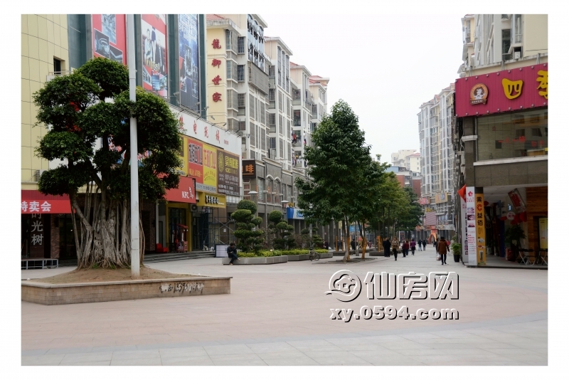 DSC_1300_副本.jpg