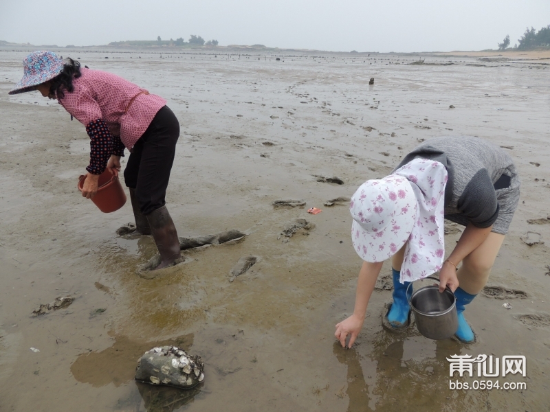 20160501-兴化湾美兰滩涂005.JPG