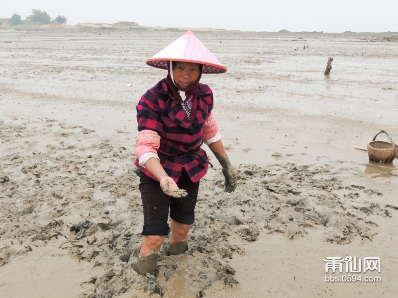 20160501-兴化湾美兰滩涂066.jpg