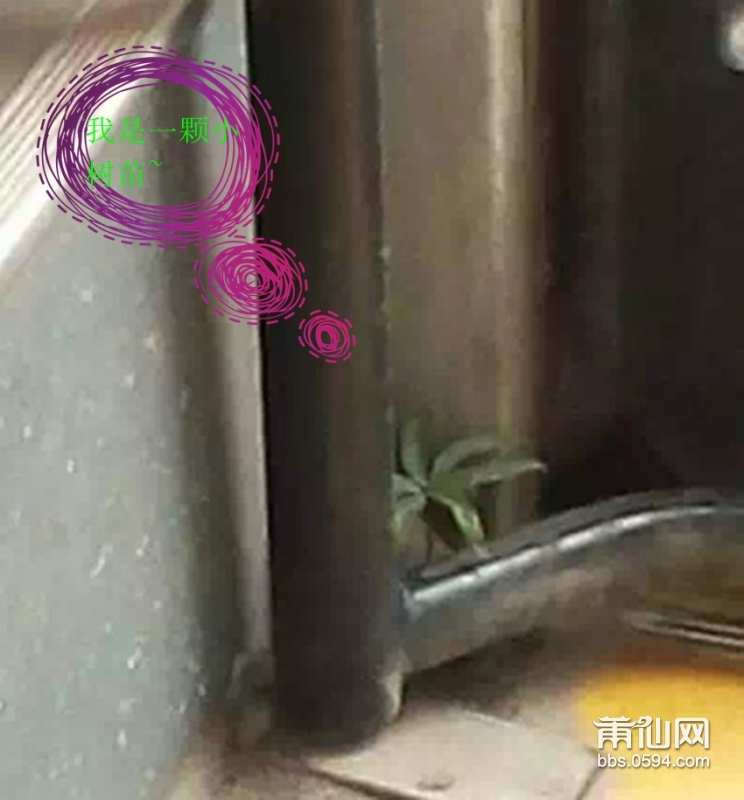 5895D66D-55E8-4704-9E03-36A680C36C0D.JPG