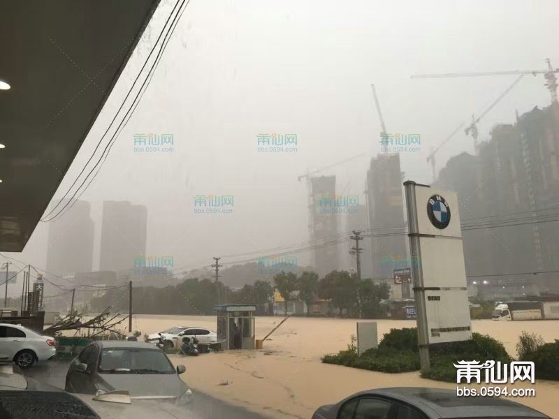 帮忙 的.jpg