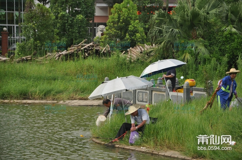 南湖钓鱼 (10).JPG