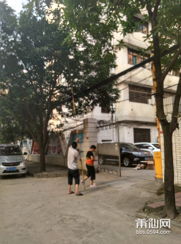 IMG_20160716_175203_HDR.jpg