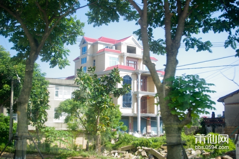 IMGP7007.jpg