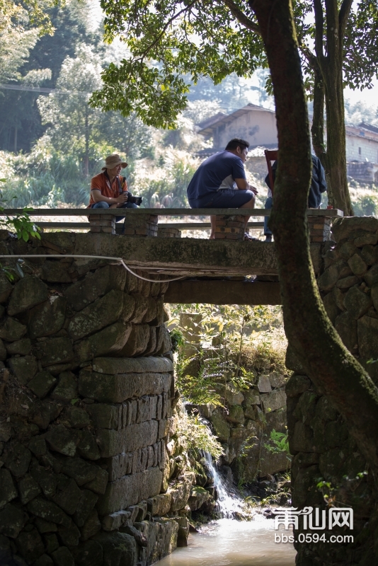 榜头镇洋山村图片