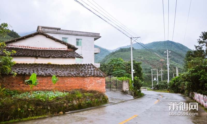 莆田岭下村图片