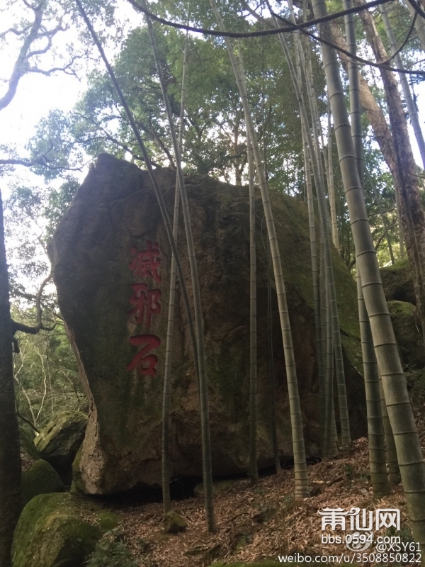 麦斜岩 (12).jpg