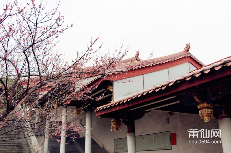 下雨的时候，梅峰寺格外安静。梵音萦绕，雨落无声。